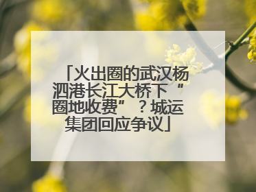 火出圈的武汉杨泗港长江大桥下“圈地收费”？城运集团回应争议