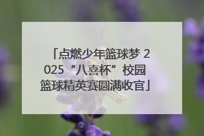 点燃少年篮球梦 2025“八喜杯”校园篮球精英赛圆满收官