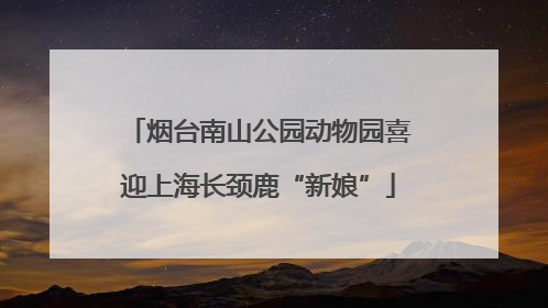 烟台南山公园动物园喜迎上海长颈鹿“新娘”