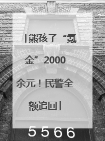 熊孩子“氪金”2000余元！民警全额追回
