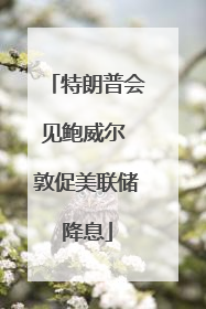 特朗普会见鲍威尔 敦促美联储降息