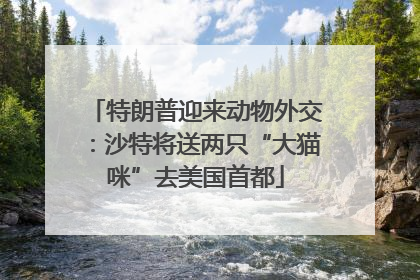 特朗普迎来动物外交：沙特将送两只“大猫咪”去美国首都