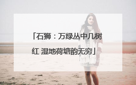 石狮：万绿丛中几树红 湿地荷塘韵无穷