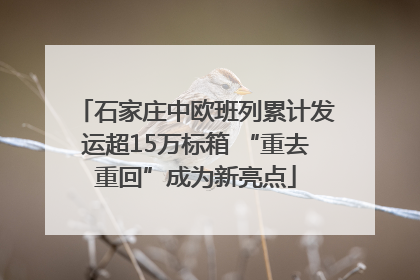 石家庄中欧班列累计发运超15万标箱 “重去重回”成为新亮点