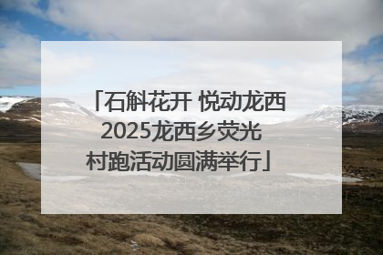 石斛花开 悦动龙西 2025龙西乡荧光村跑活动圆满举行