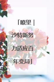 瞭望｜沙特新努力适应百年变局