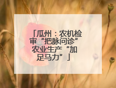 瓜州：农机检审“把脉问诊” 农业生产“加足马力”
