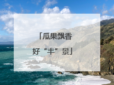瓜果飘香 好“丰”景