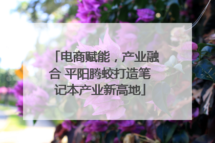 电商赋能，产业融合 平阳腾蛟打造笔记本产业新高地