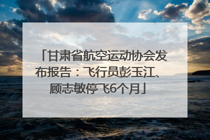 甘肃省航空运动协会发布报告：飞行员彭玉江、顾志敏停飞6个月