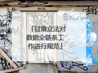 甘肃立法对数据全链条工作进行规范
