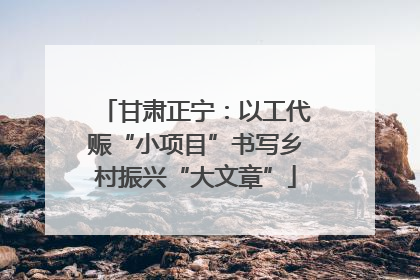 甘肃正宁：以工代赈“小项目”书写乡村振兴“大文章”