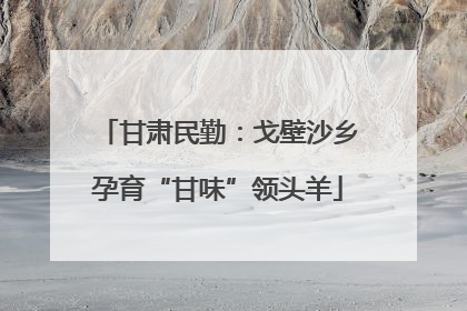 甘肃民勤：戈壁沙乡孕育“甘味”领头羊
