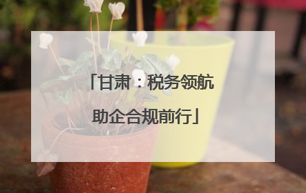 甘肃：税务领航 助企合规前行