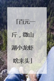 百元一斤，微山湖小龙虾啥来头