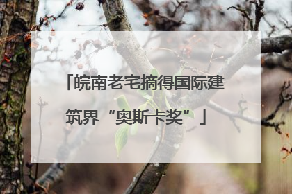 皖南老宅摘得国际建筑界“奥斯卡奖”