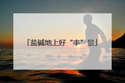 盐碱地上好“丰”景