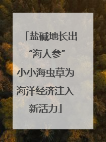 盐碱地长出“海人参” 小小海虫草为海洋经济注入新活力