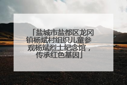盐城市盐都区龙冈镇杨斌村组织儿童参观杨斌烈士纪念馆，传承红色基因