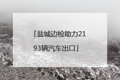 盐城边检助力2193辆汽车出口
