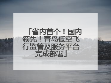 省内首个！国内领先！青岛低空飞行监管及服务平台完成部署