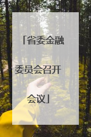 省委金融委员会召开会议