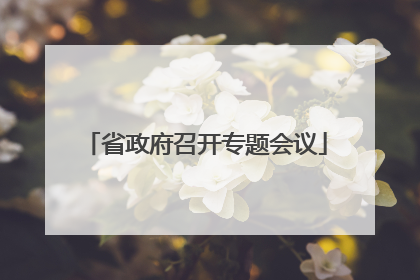省政府召开专题会议