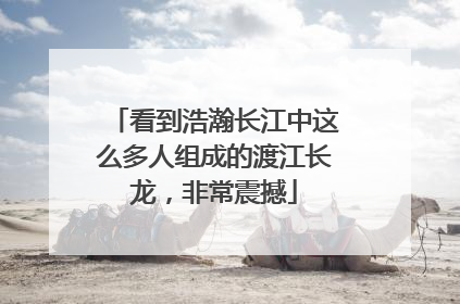 看到浩瀚长江中这么多人组成的渡江长龙，非常震撼
