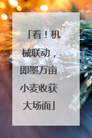 看！机械联动，即墨万亩小麦收获大场面
