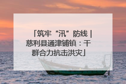筑牢“汛”防线｜慈利县通津铺镇：干群合力抗击洪灾