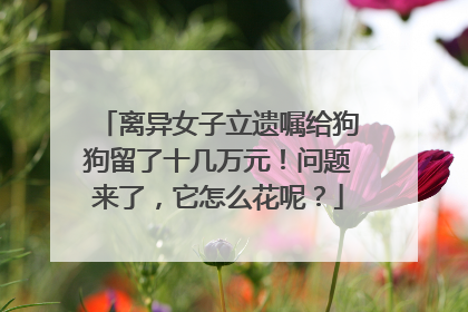 离异女子立遗嘱给狗狗留了十几万元！问题来了，它怎么花呢？
