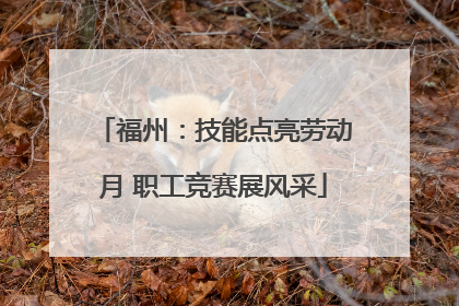 福州：技能点亮劳动月 职工竞赛展风采