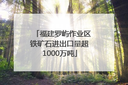 福建罗屿作业区铁矿石进出口量超1000万吨