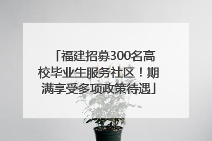 福建招募300名高校毕业生服务社区！期满享受多项政策待遇