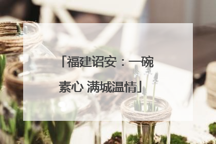 福建诏安：一碗素心 满城温情