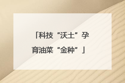 科技“沃土”孕育油菜“金种”