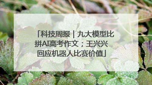 科技周报｜九大模型比拼AI高考作文；王兴兴回应机器人比赛价值