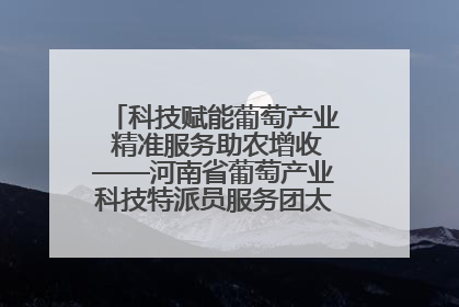 科技赋能葡萄产业 精准服务助农增收——河南省葡萄产业科技特派员服务团太康县科技服务纪实