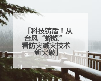 科技铸盾！从台风“蝴蝶” 看防灾减灾技术新突破