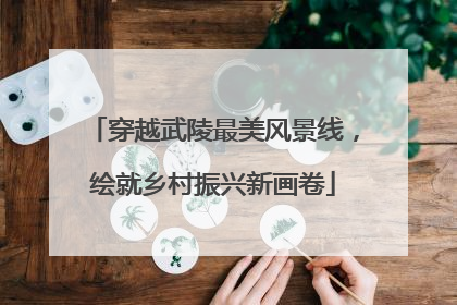 穿越武陵最美风景线，绘就乡村振兴新画卷