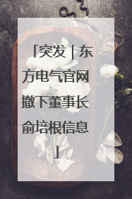 突发｜东方电气官网撤下董事长俞培根信息