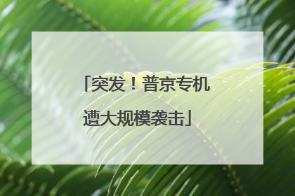 突发！普京专机遭大规模袭击