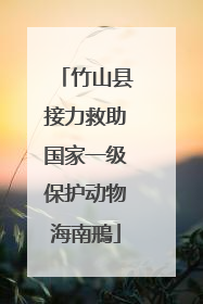 竹山县接力救助国家一级保护动物海南鳽