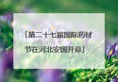 第二十七届国际药材节在河北安国开幕