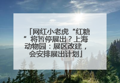 网红小老虎“红糖”将暂停展出？上海动物园：展区改建，会安排展出计划