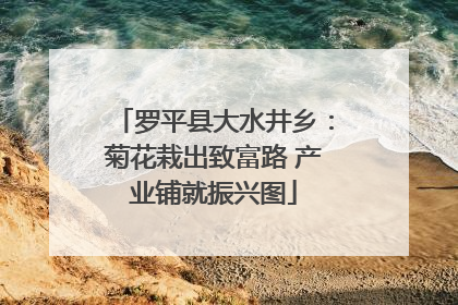 罗平县大水井乡：菊花栽出致富路 产业铺就振兴图
