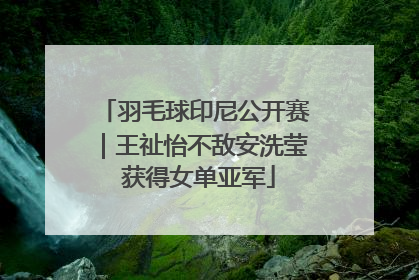 羽毛球印尼公开赛｜王祉怡不敌安洗莹 获得女单亚军