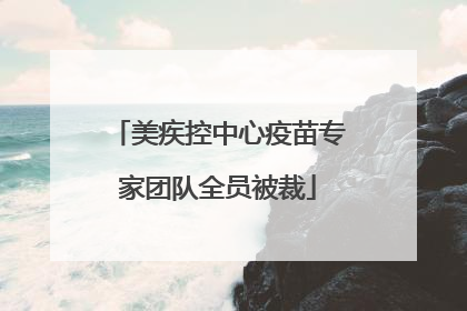 美疾控中心疫苗专家团队全员被裁