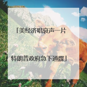 美经济唱衰声一片 特朗普政府急下通牒