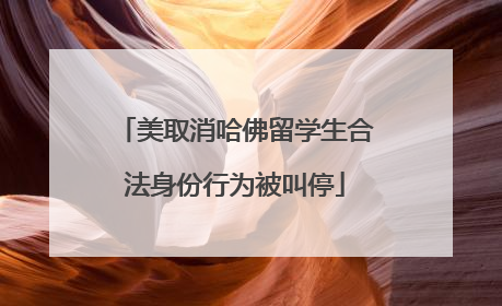 美取消哈佛留学生合法身份行为被叫停